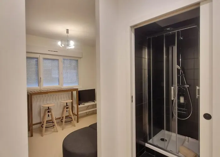 Les Violettes #parking#confort * קלרמונט-פרנד